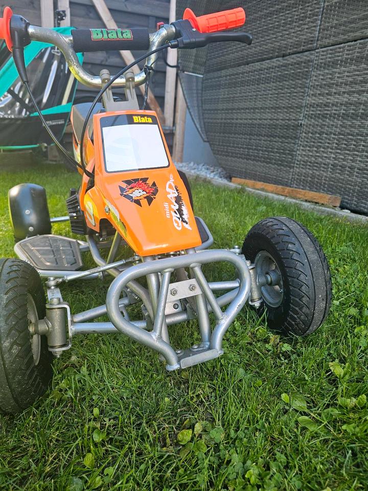 Weitere Motorräder Orginal Blata Midi Quadard Pocket Quad 2004 — photo 13