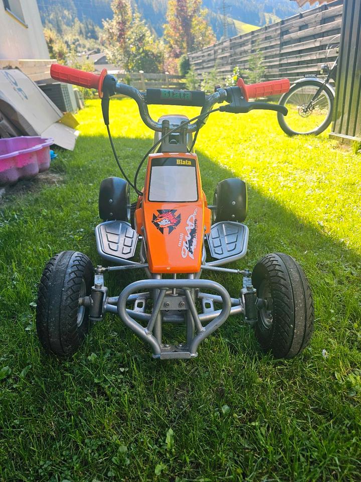 Weitere Motorräder Orginal Blata Midi Quadard Pocket Quad 2004 — rear view