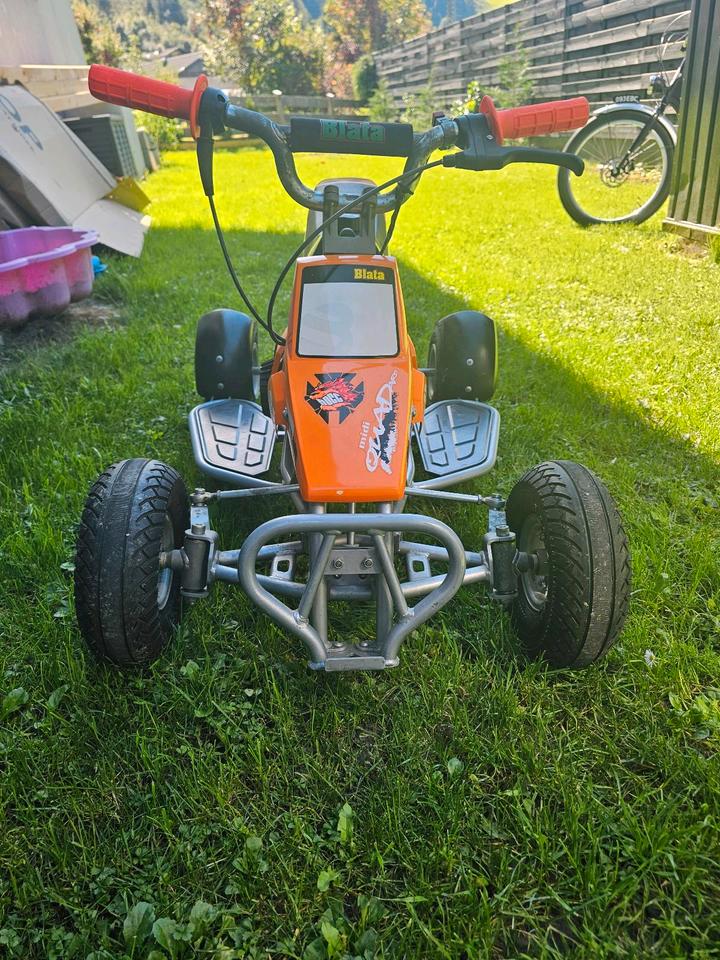 Weitere Motorräder Orginal Blata Midi Quadard Pocket Quad 2004 — interior