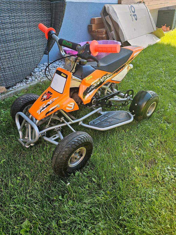 Weitere Motorräder Orginal Blata Midi Quadard Pocket Quad 2004 — photo 5