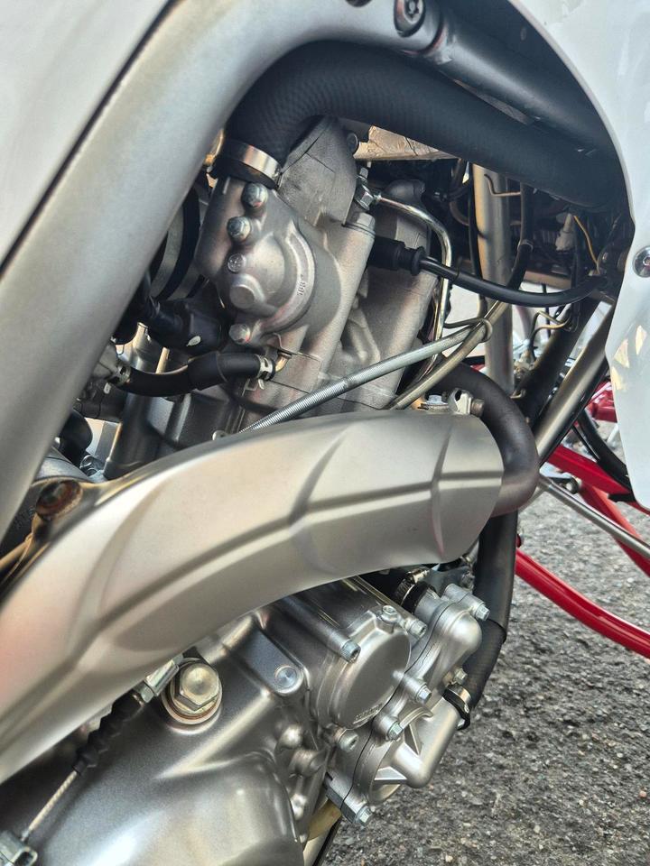 Yamaha Raptor 700R SE 2008 — photo 9