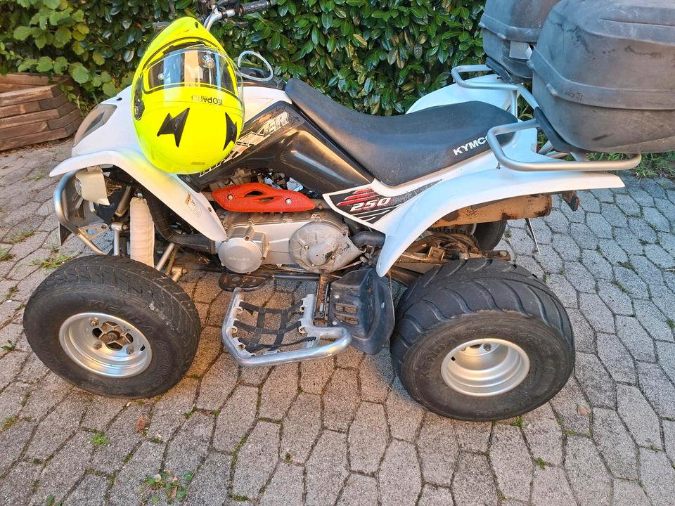 Kymco Gelöscht • Quad Kymco Maxxer 250 2012 — photo 10