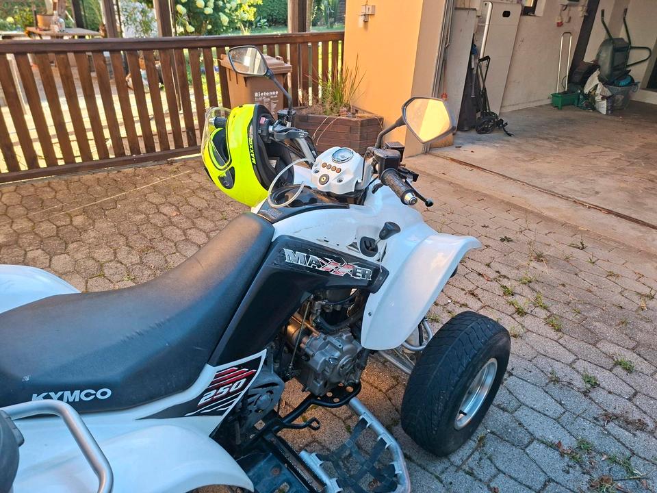 Kymco Gelöscht • Quad Kymco Maxxer 250 2012 — rear view