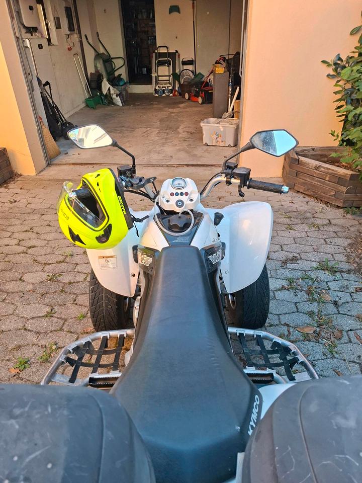 Kymco Gelöscht • Quad Kymco Maxxer 250 2012 — photo 9