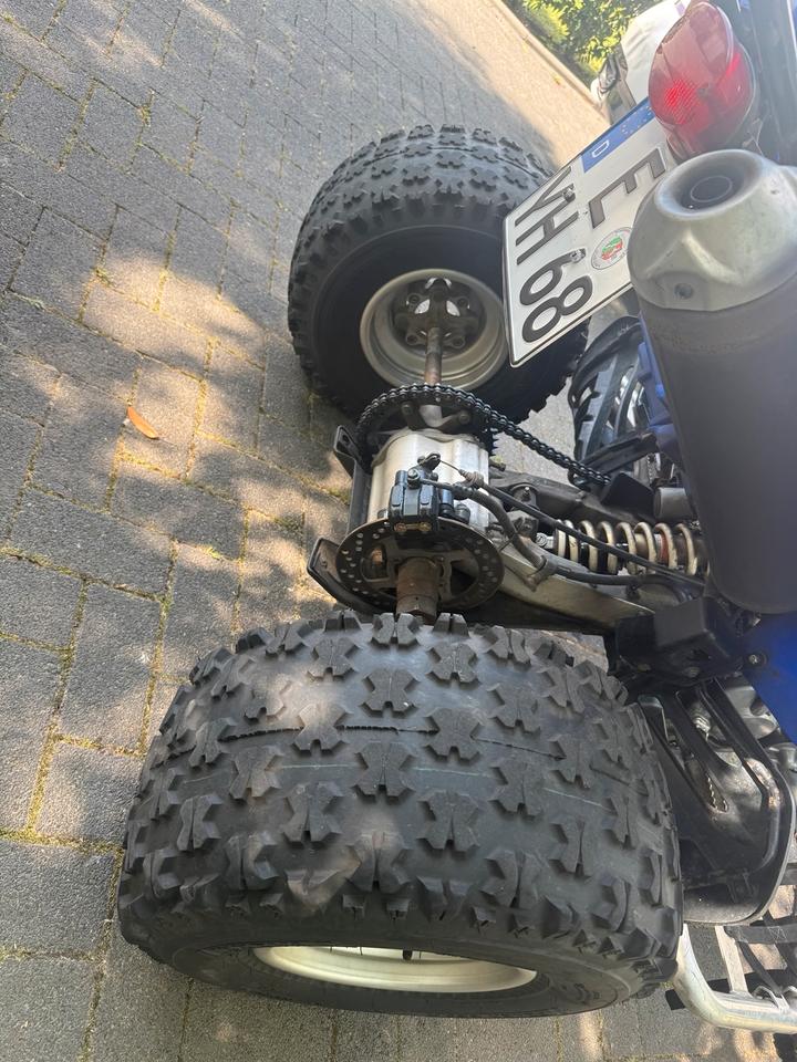 Yamaha Raptor Quad 2004 — photo 10