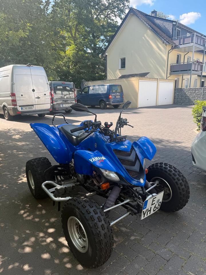 Yamaha Raptor Quad 2004 — rear view