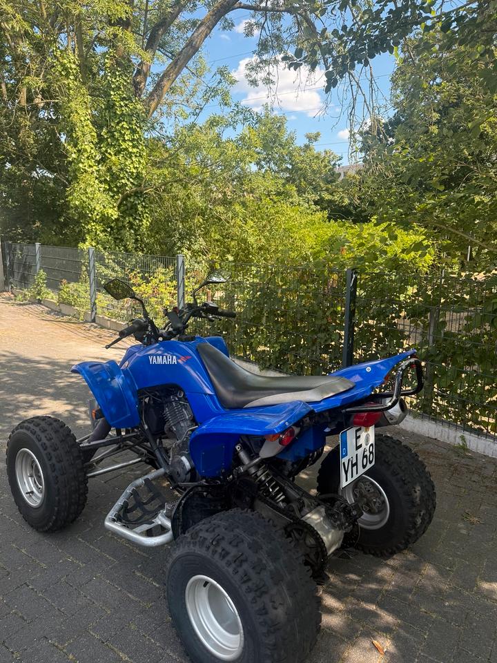 Yamaha Raptor Quad 2004 — photo 5