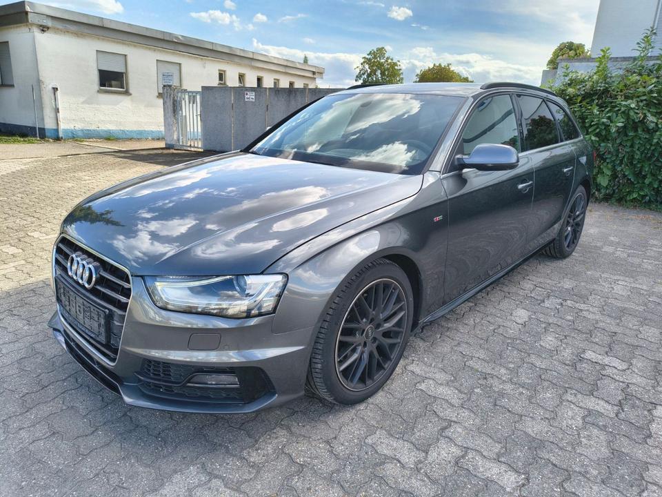 Audi A4 2015 — photo 7