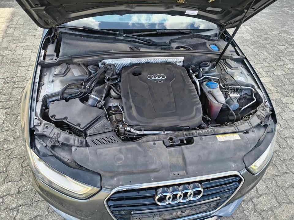 Audi A4 2015 — photo 8