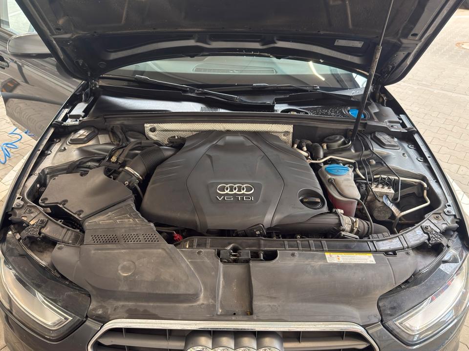Audi A4 2013 — photo 14