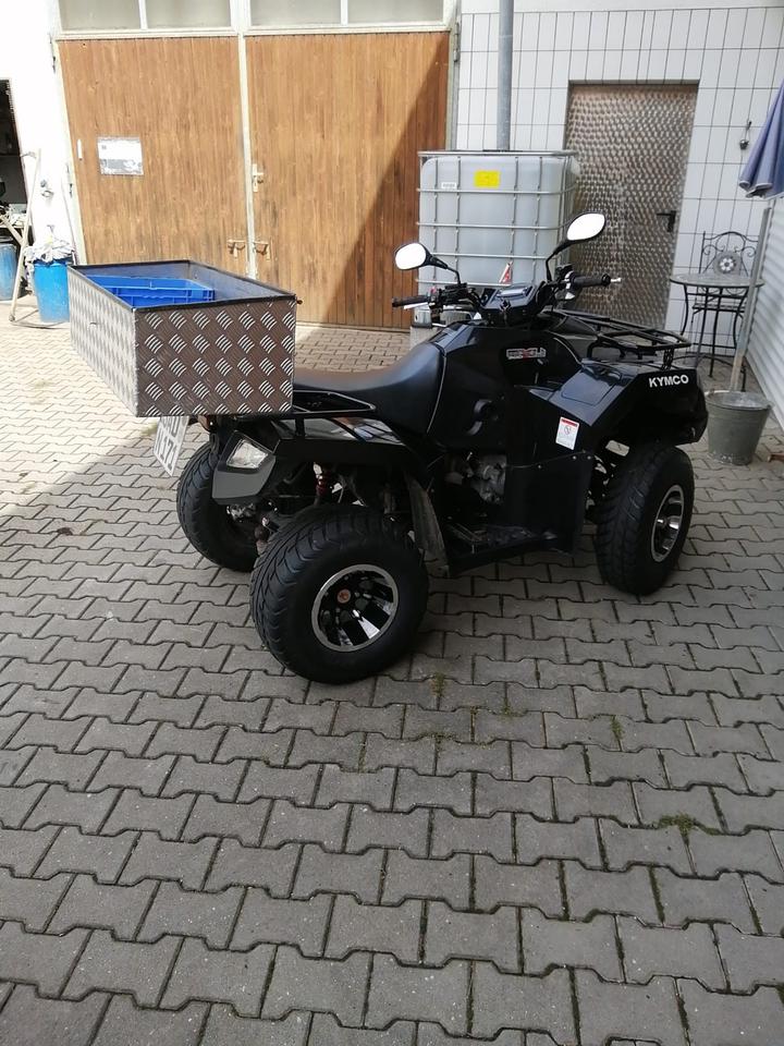Kymco Gelöscht • ATV Quad Kymco 300R 2011 — фото 7