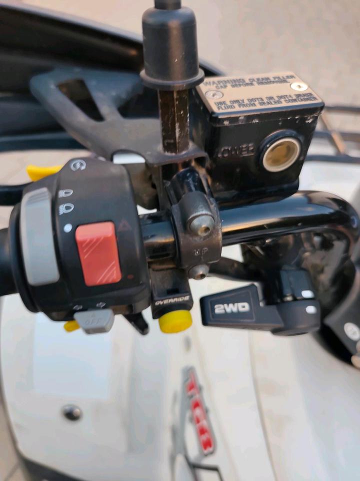 TGB Blade 500 R 4X4 Quad mit LOF Zulassung 2014 — photo 8