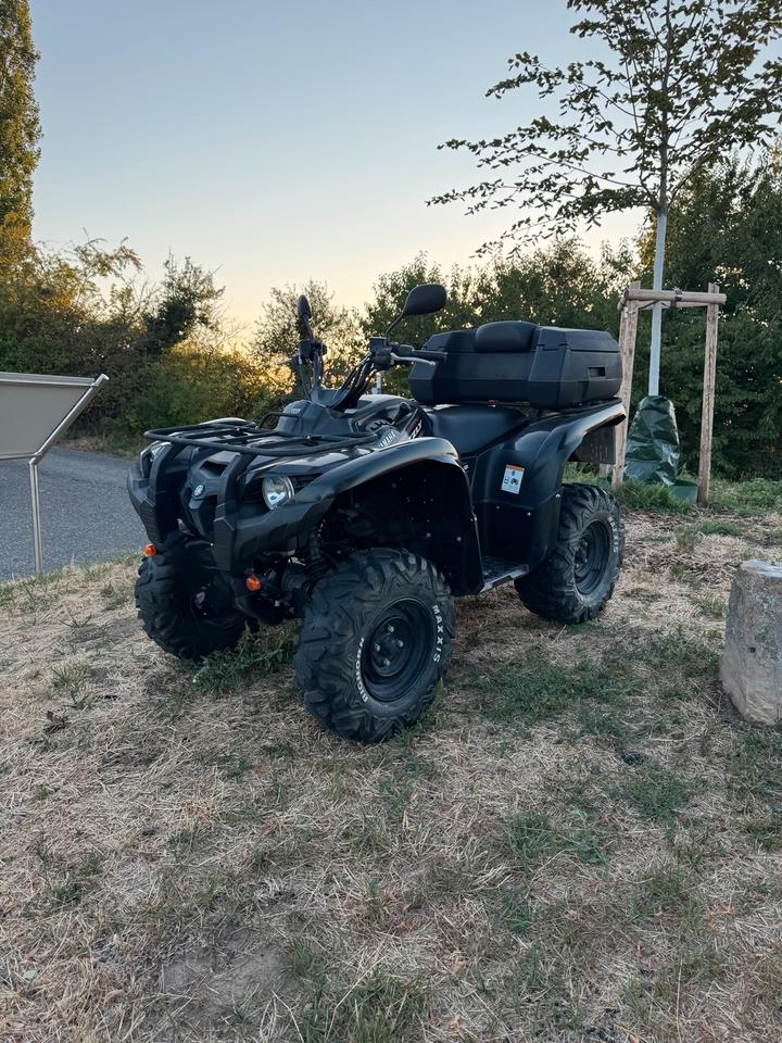 Yamaha ATV Yamaha Grizzly 550 - LOF-Zulassung - 4X4 2010 — rear view