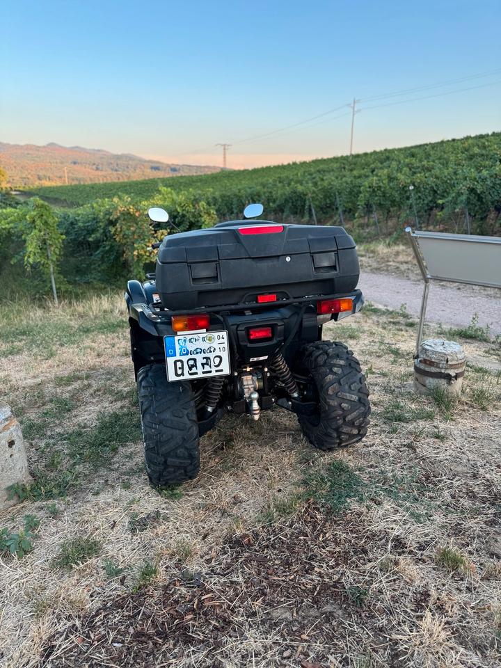Yamaha ATV Yamaha Grizzly 550 - LOF-Zulassung - 4X4 2010 — photo 5