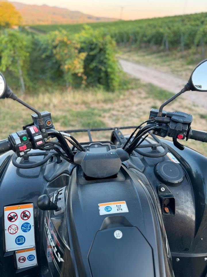 Yamaha ATV Yamaha Grizzly 550 - LOF-Zulassung - 4X4 2010 — photo 7