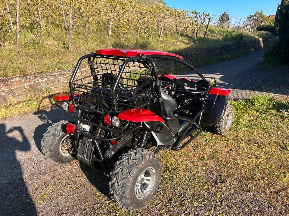Weitere Motorräder LK250-NBLUCK-Quad Buggy TÜV -Straßenzulassung 2011 — photo 5