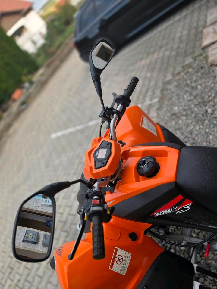 Weitere Motorräder Adly Atv Quad 300XS 2011 — photo 10