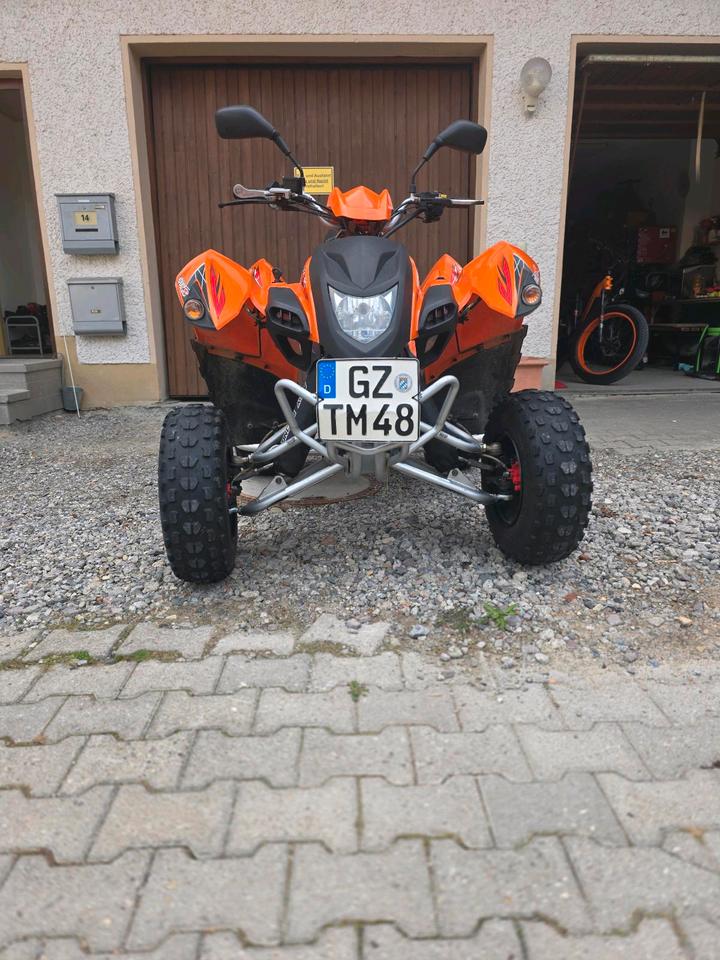 Weitere Motorräder Adly Atv Quad 300XS 2011 — rear view