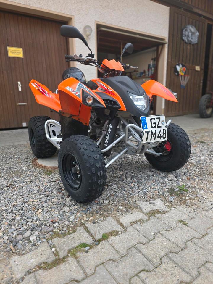 Weitere Motorräder Adly Atv Quad 300XS 2011 — photo 5