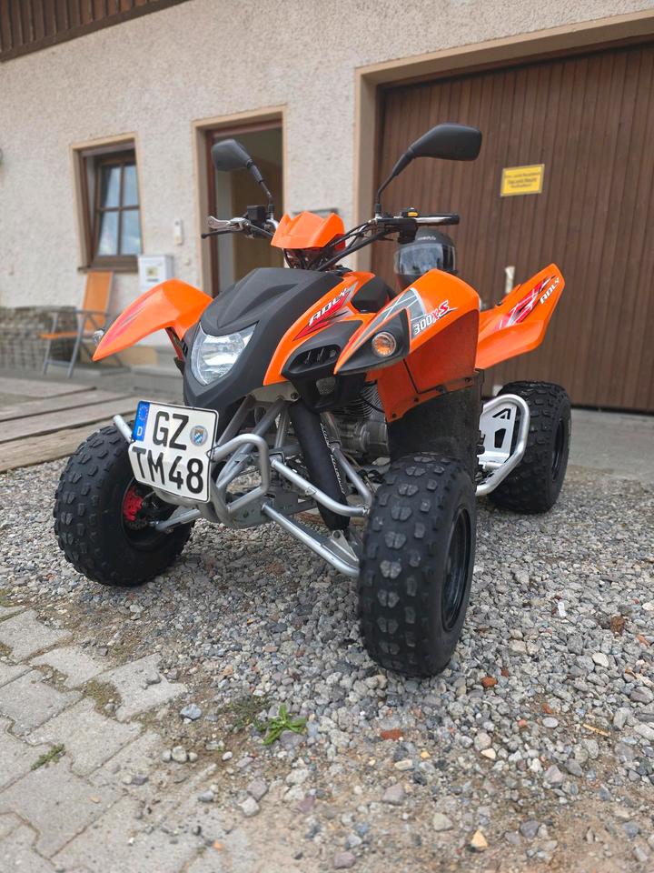 Weitere Motorräder Adly Atv Quad 300XS 2011 — photo 6