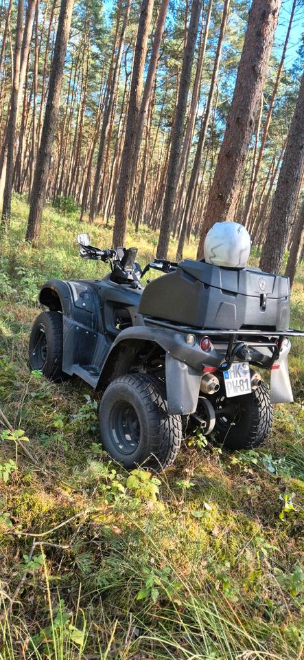 Weitere Motorräder Quad Blade 325 zum Verkauf oder Tausch 2010 — rear view