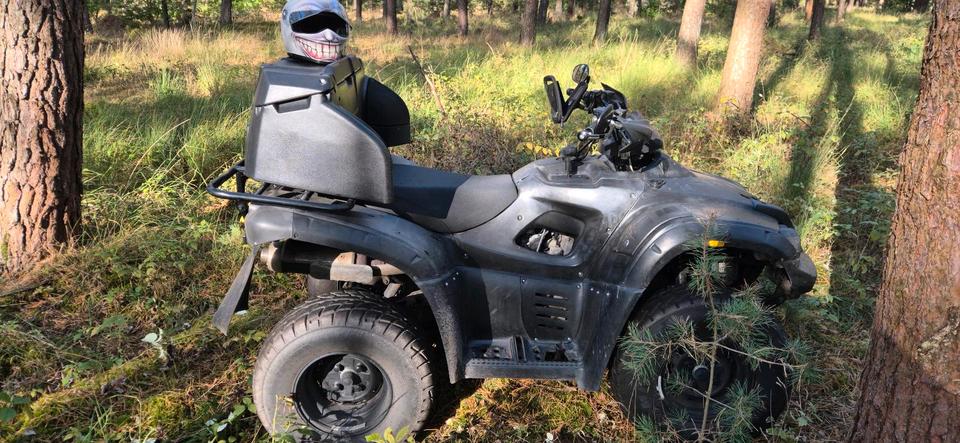 Weitere Motorräder Quad Blade 325 zum Verkauf oder Tausch 2010 — engine