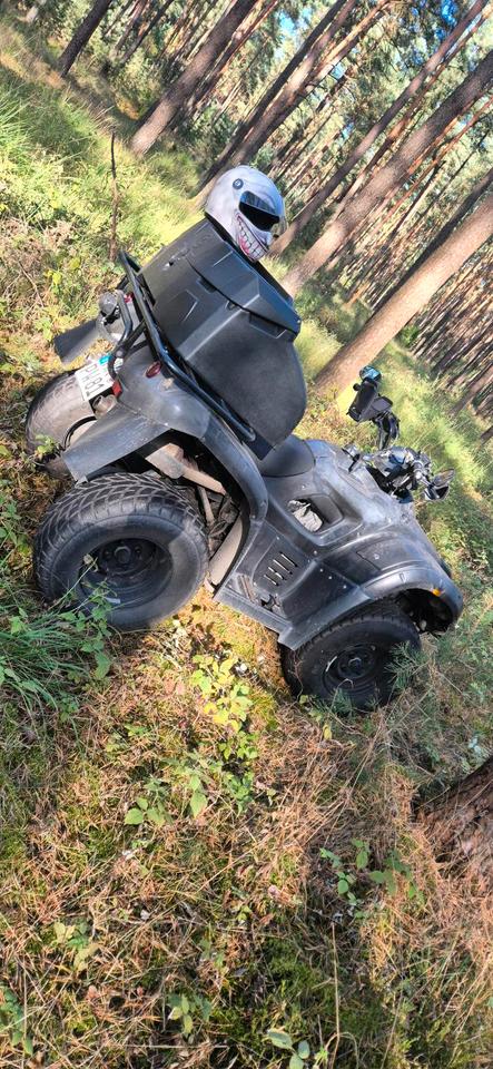 Weitere Motorräder Quad Blade 325 zum Verkauf oder Tausch 2010 — photo 5