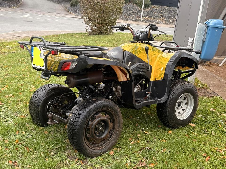 Weitere Motorräder ATV Quad FXATV 260b 2007 — rear view