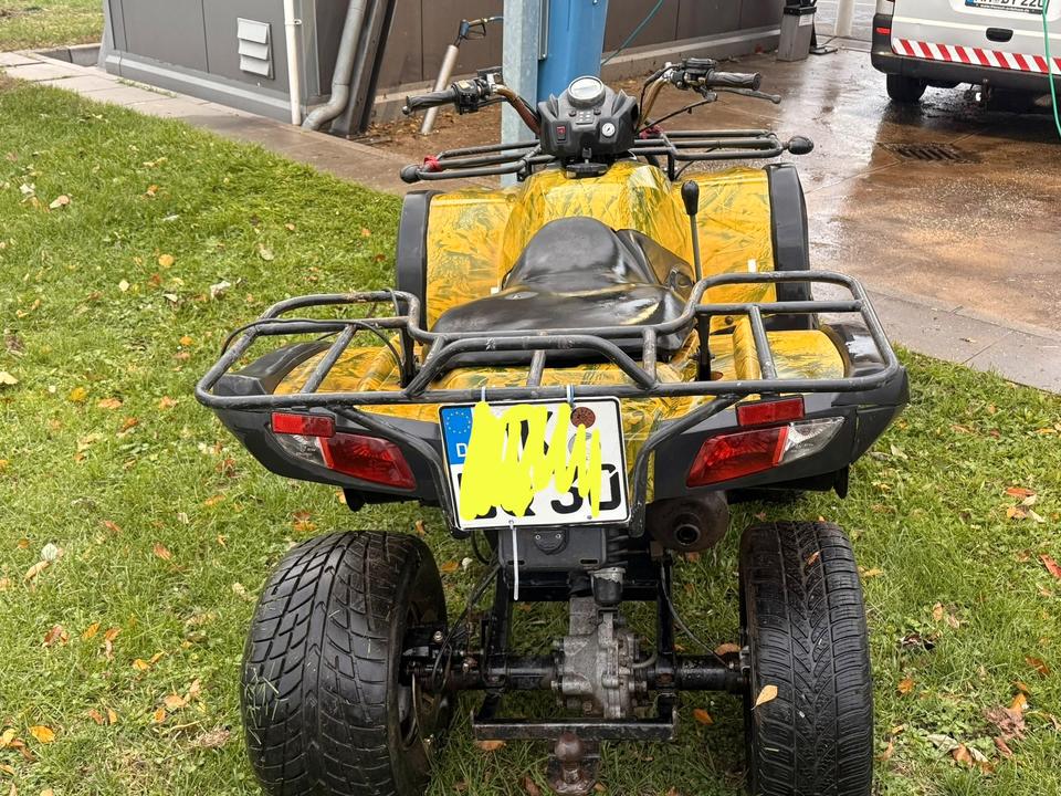 Weitere Motorräder ATV Quad FXATV 260b 2007 — photo 9