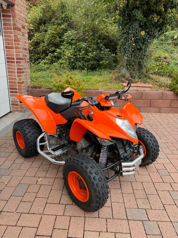 Kymco Maxxer 300 2011 — rear view