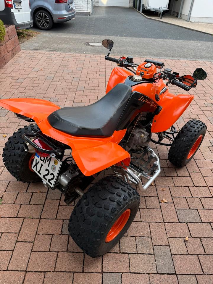 Kymco Maxxer 300 2011 — interior