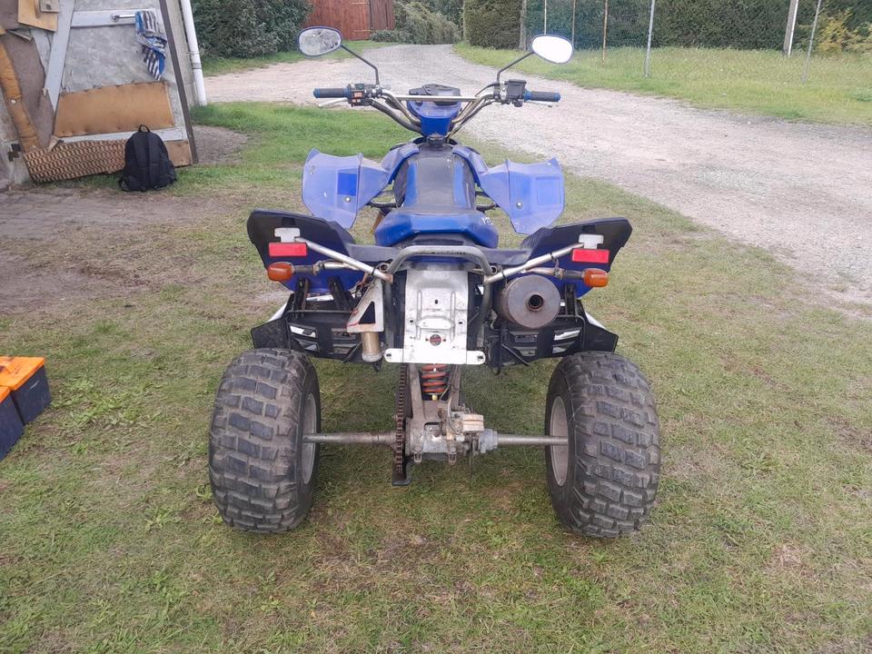 Weitere Motorräder Gelöscht • Verkauf Bashan Quad 300ccm 2011 — салон