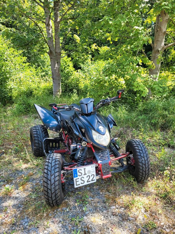 Weitere Motorräder Triton Baja 300 Access Quad !!ANGEBOT!! 2008 — вигляд ззаду
