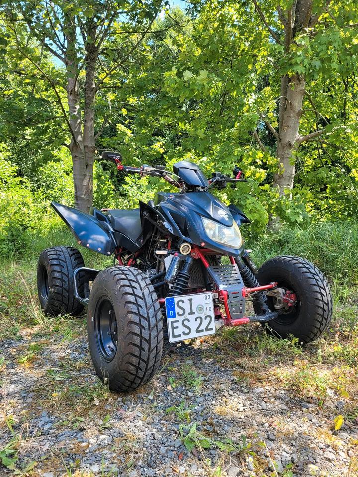 Weitere Motorräder Triton Baja 300 Access Quad !!ANGEBOT!! 2008 — салон