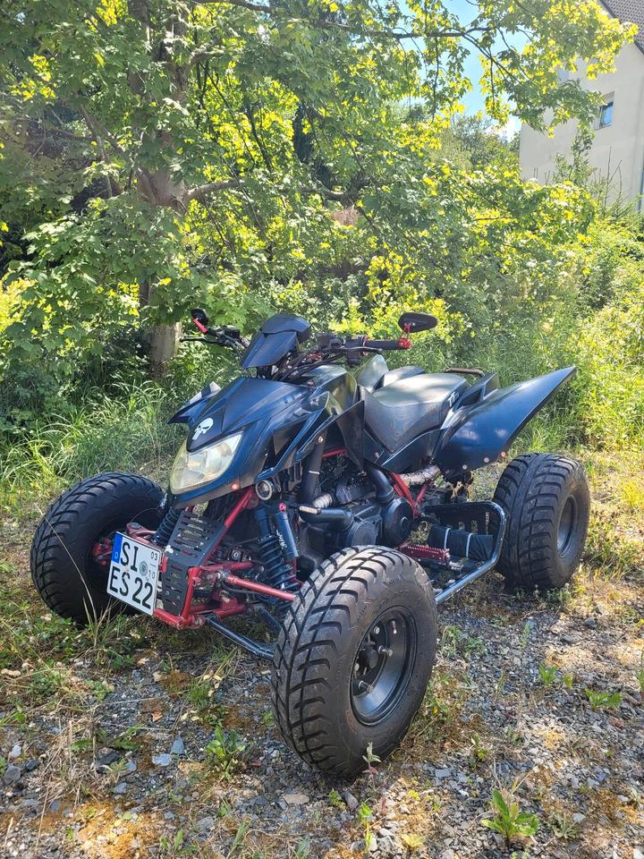 Weitere Motorräder Triton Baja 300 Access Quad !!ANGEBOT!! 2008 — двигун 280 ccm