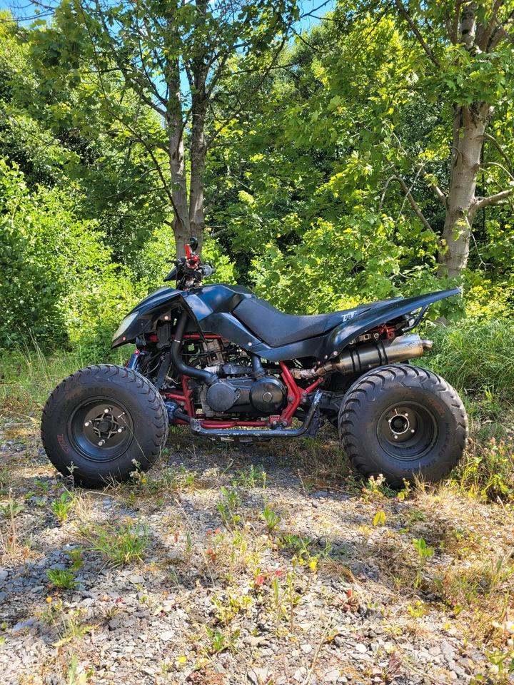 Weitere Motorräder Triton Baja 300 Access Quad !!ANGEBOT!! 2008 — фото 6