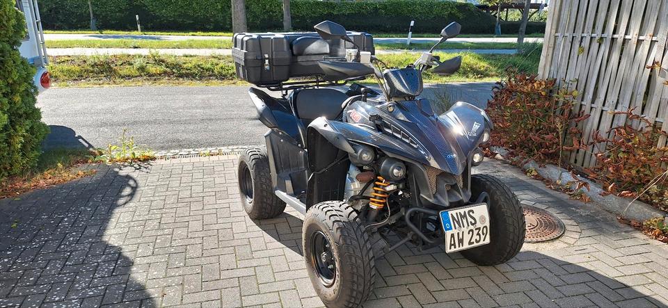 Weitere Motorräder Quad TGB 325 2012 — rear view