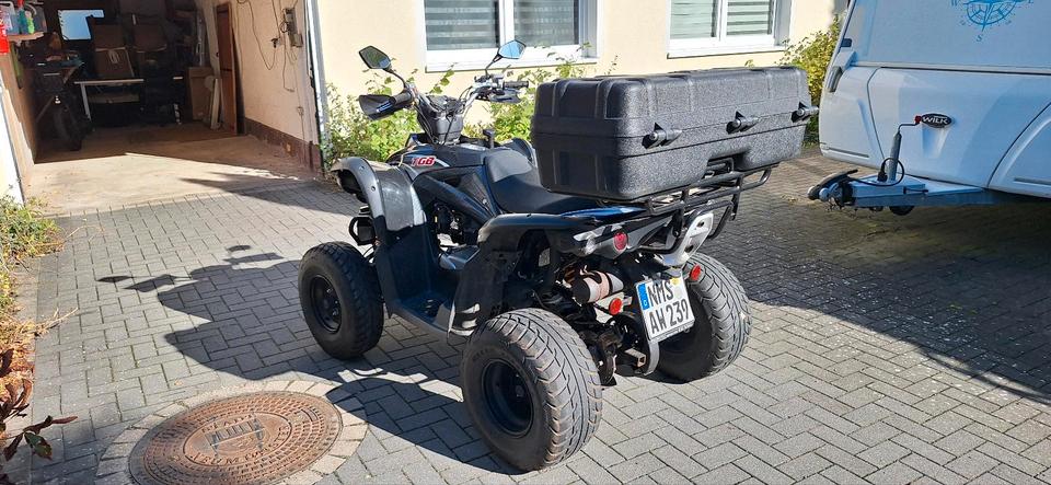 Weitere Motorräder Quad TGB 325 2012 — engine 16 ccm