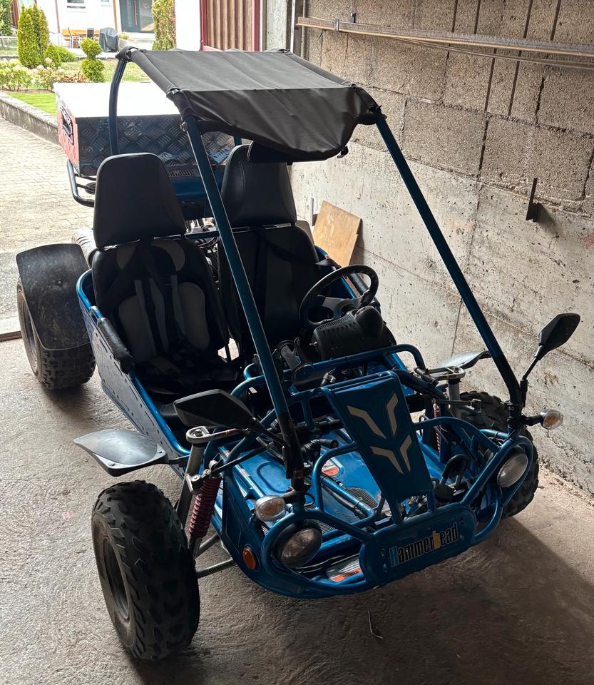 Weitere Motorräder Gelöscht • Strandbuggy Hammerhead TBM 250 2014 — vehicle for AFU Ukraine