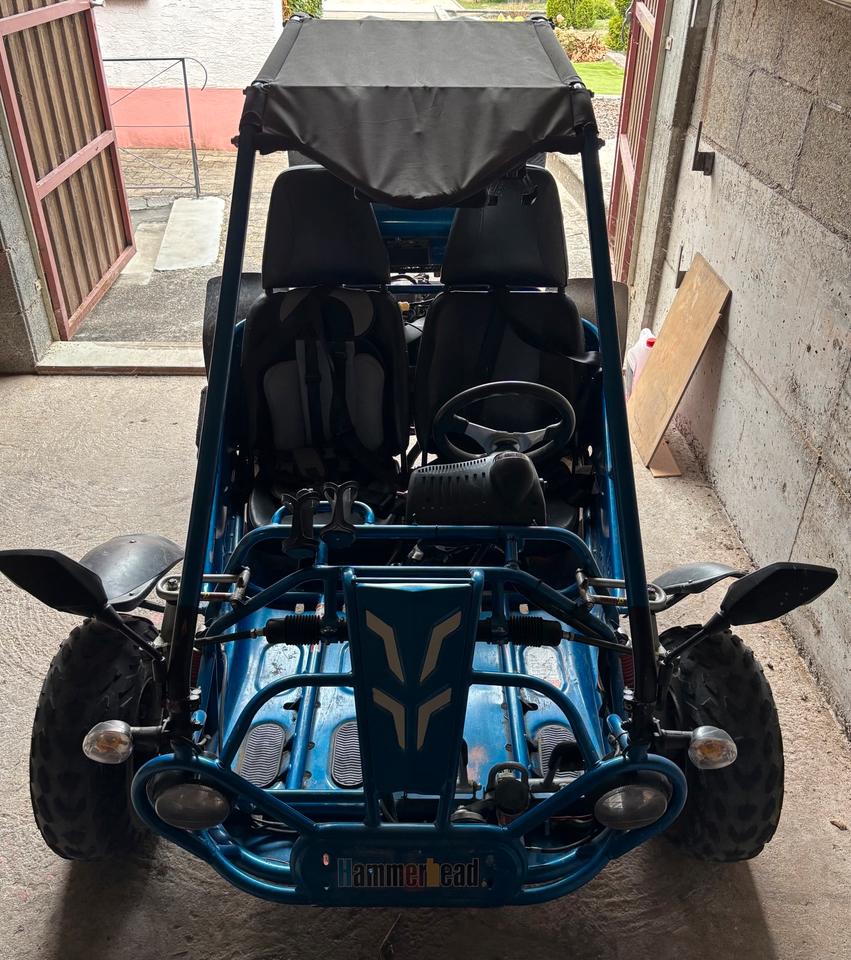 Weitere Motorräder Gelöscht • Strandbuggy Hammerhead TBM 250 2014 — rear view