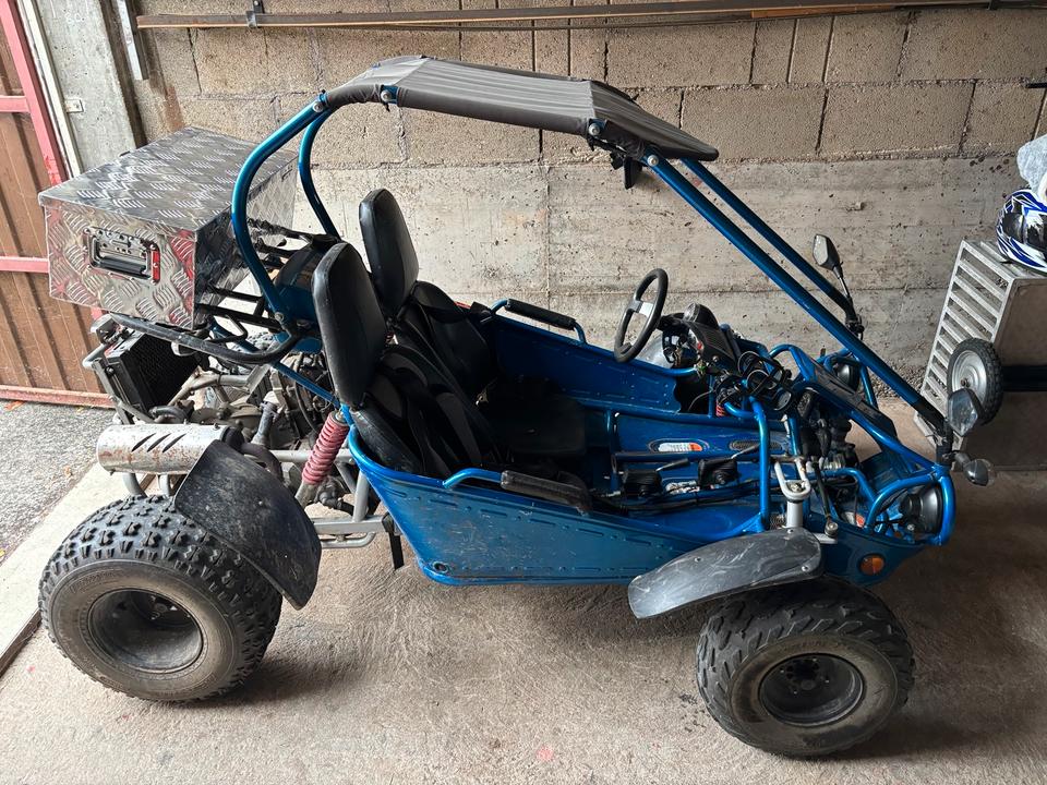 Weitere Motorräder Gelöscht • Strandbuggy Hammerhead TBM 250 2014 — interior