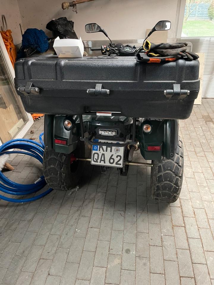  Quad Adly320U 2015 — rear view