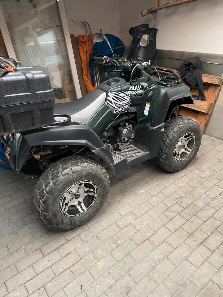  Quad Adly320U 2015 — interior