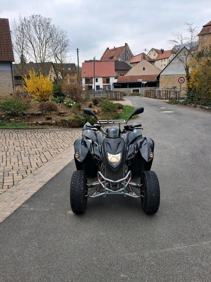  Quad / Her Chee (Adly Moto) ATV-320 2007 — вигляд ззаду
