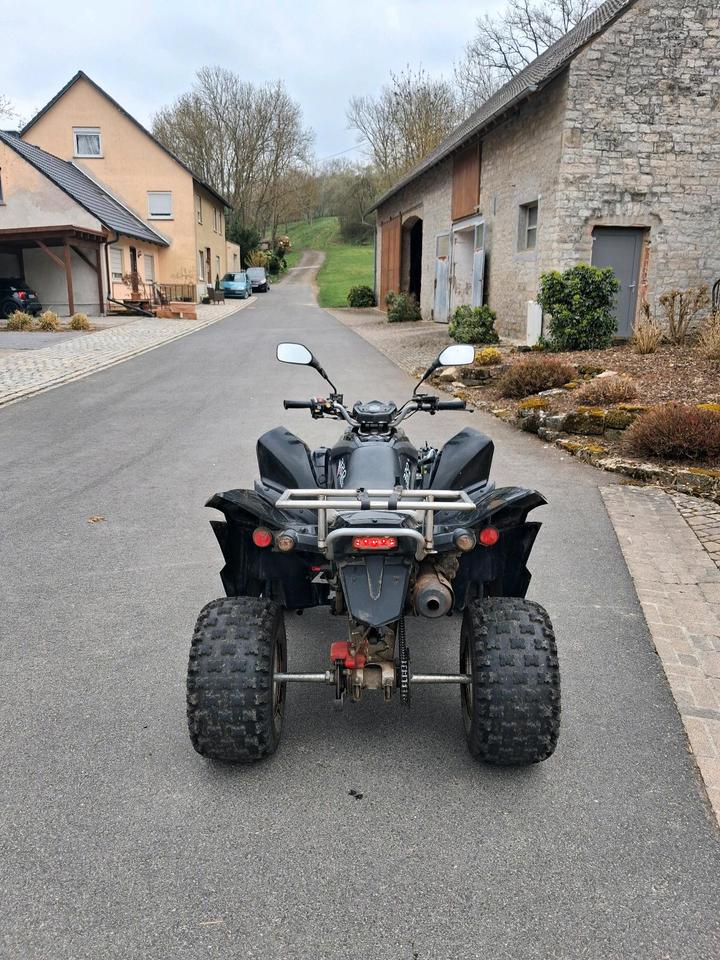  Quad / Her Chee (Adly Moto) ATV-320 2007 — двигун 272 ccm