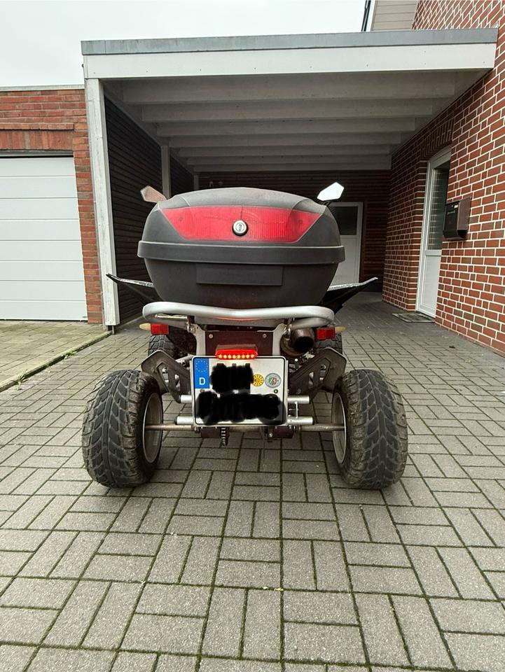  Quad 250ccm 2009 — rear view