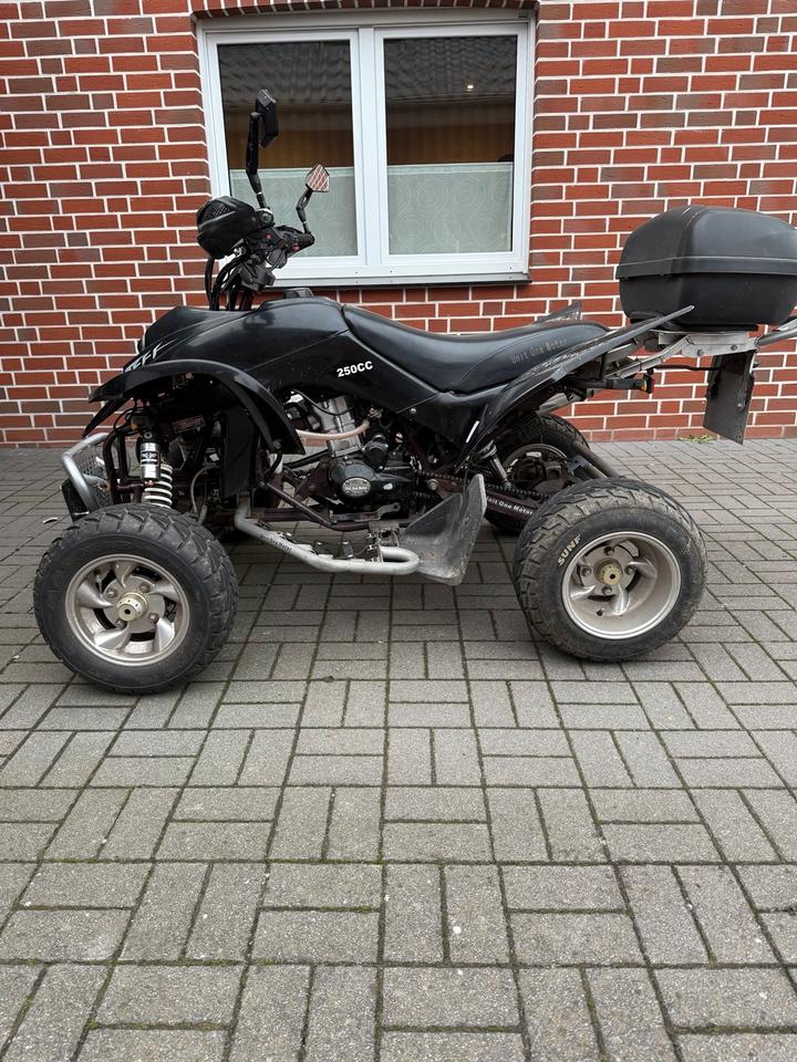  Quad 250ccm 2009 — interior