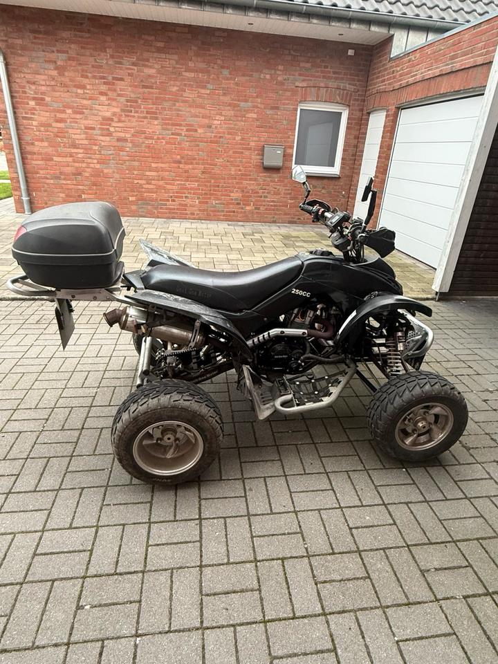  Quad 250ccm 2009 — engine 250 ccm