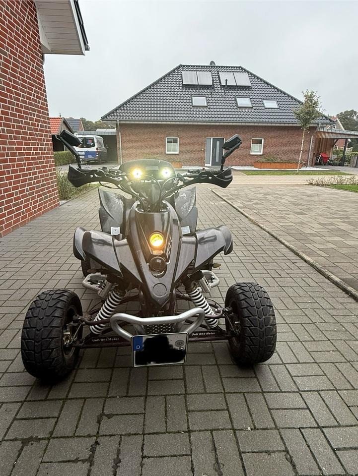  Quad 250ccm 2009 — photo 5