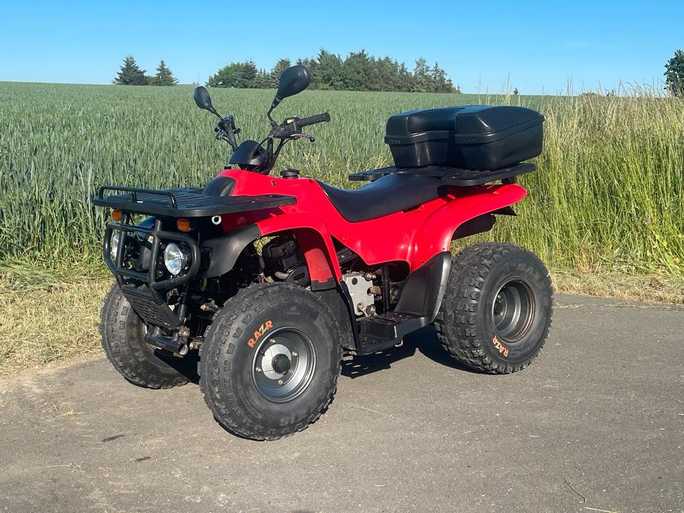 MZ Reinmech Quad Motortek MT 175 (MZ Bison) TÜV Tausch, 2004